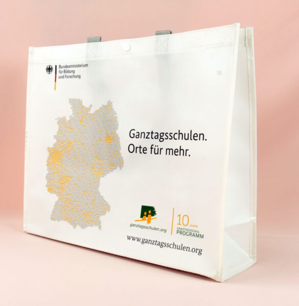 Model: PP Non Woven Bags #31